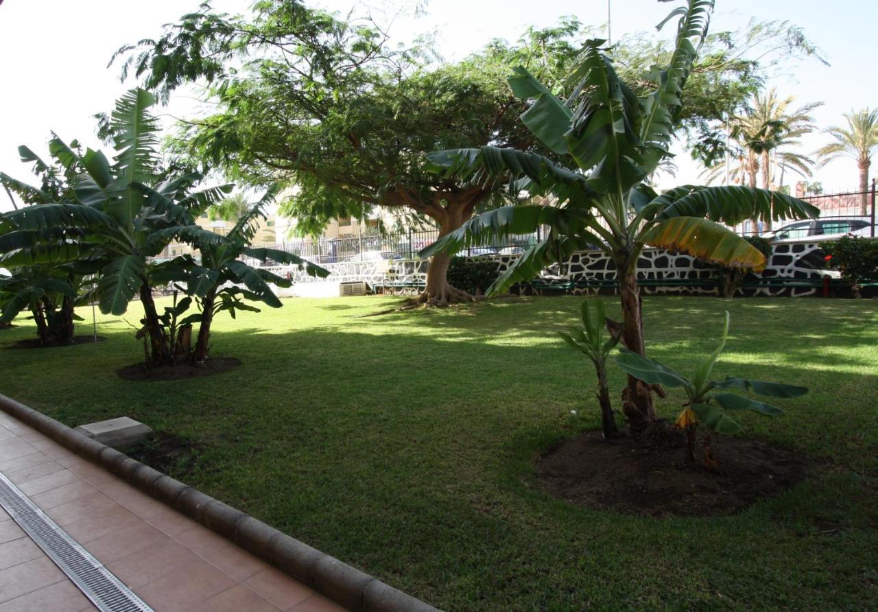 Fantastic Apartment With Sea Views Playa del Inglés Eksteriør bilde